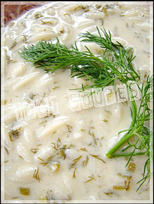 Immagine-copie-12.png