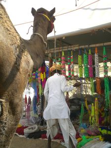 Pushkar--camel-fair--91-.JPG