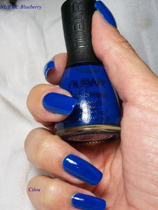 nubar blueberry (6)