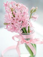 286326--41673630-200-u6c744.jpg