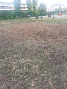 #208 - Photo 20141003 143600