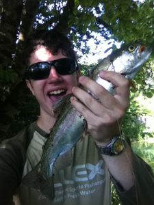 Rainbow trout au Live Baby Shad