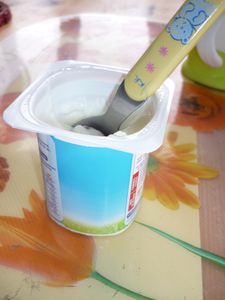 yaourt-nature.JPG