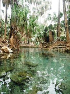 Mataranka hot springs (2)