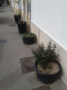 rue brochier