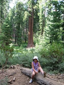 IMG_4248.jpg
