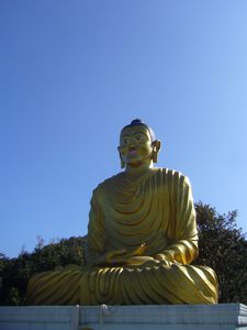 016 : Grand Bouddha, Vallee de Katmandou