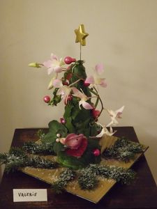 DSCF0551.JPG