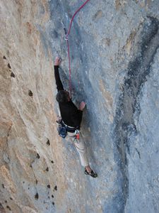 cessens-045.JPG