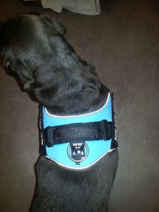20121117_214518.jpg