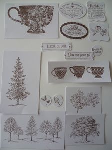 Swap-pour-scrapbooknet-001-copie-1.jpg