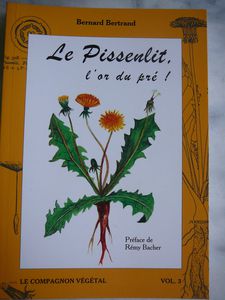 P1090915