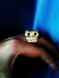 photo (24)-copie-1