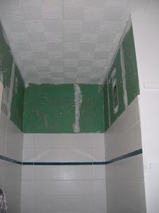 un wc et une salle de bains à peindre 002