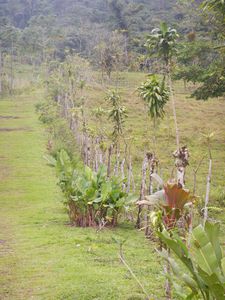 Cerro Chato 009