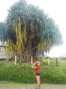 Cerro Chato 044