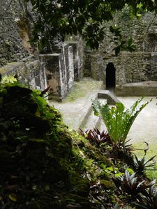 Tikal 015
