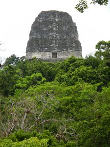Tikal 038
