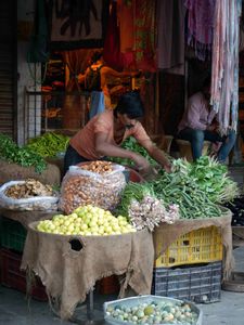 Udaipur - Jodhpur 029