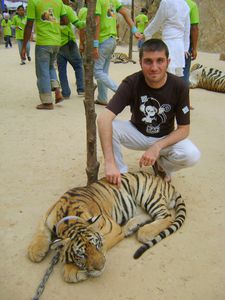 thailande--190-.jpg