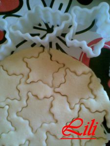 Photo013-copie-1