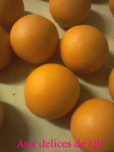 Photo-0336