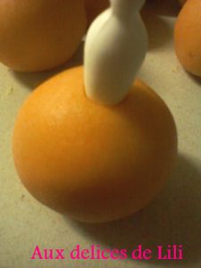 Photo-0337
