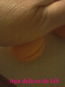 Photo-0341