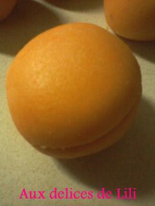 Photo-0342