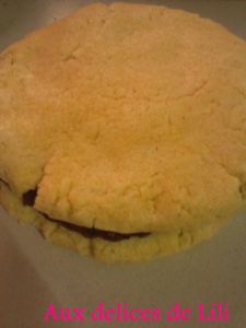 Photo-0019