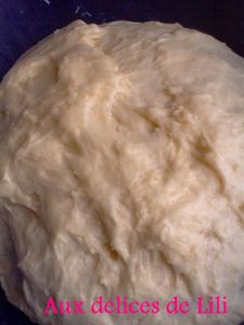 Photo-0004-copie-1