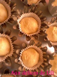 Photo-0007