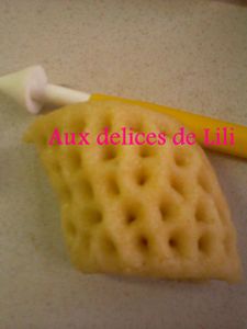 Photo-0166