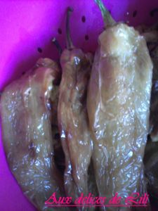 Photo-0136