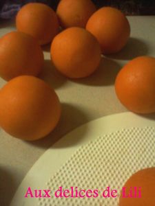 Photo-0345