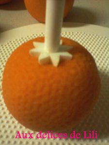 Photo-0347