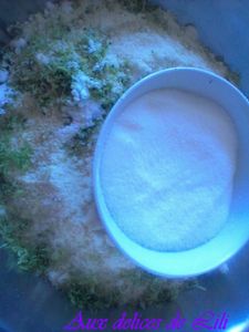 Photo-0212