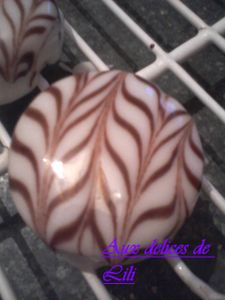Photo-0234