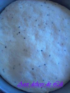 Photo-0310