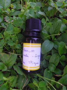 lait-au-piqui-005.JPG