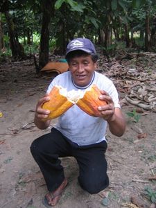 Pachamama 030