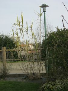 2014-0287.JPG