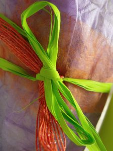 crocus 007