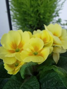fevrier-2013-035.JPG