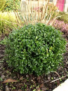 fevrier-2013-043.JPG