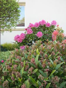 2014-1615.JPG