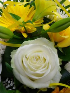 DSCF7154.JPG