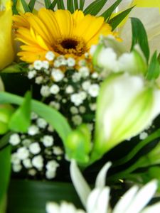 DSCF7157.JPG