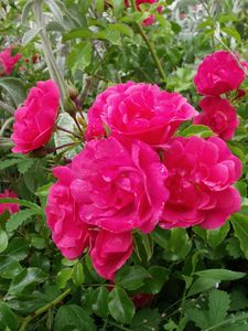 DSCF7758-copie-1