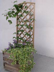 DSCF7609.JPG